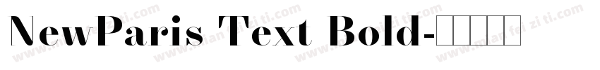 NewParis Text Bold字体转换
